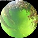 ./images/calvert/underwater/20260712/underwater20260712_133501M.jpg