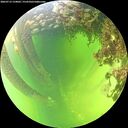 ./images/calvert/underwater/20260712/underwater20260712_134001M.jpg