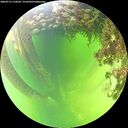 ./images/calvert/underwater/20260712/underwater20260712_134501M.jpg