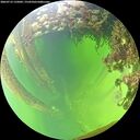 ./images/calvert/underwater/20260712/underwater20260712_135002M.jpg