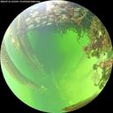 ./images/calvert/underwater/20260712/underwater20260712_135501M.jpg