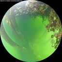 ./images/calvert/underwater/20260712/underwater20260712_140001M.jpg
