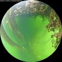 ./images/calvert/underwater/20260712/underwater20260712_140501M.jpg