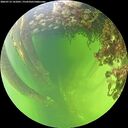 ./images/calvert/underwater/20260712/underwater20260712_141001M.jpg