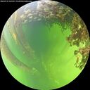./images/calvert/underwater/20260712/underwater20260712_141501M.jpg