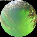 ./images/calvert/underwater/20260712/underwater20260712_142002M.jpg