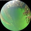 ./images/calvert/underwater/20260712/underwater20260712_142501M.jpg
