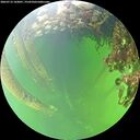 ./images/calvert/underwater/20260712/underwater20260712_143001M.jpg