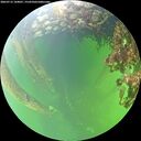 ./images/calvert/underwater/20260712/underwater20260712_144001M.jpg