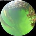 ./images/calvert/underwater/20260712/underwater20260712_144501M.jpg
