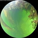 ./images/calvert/underwater/20260712/underwater20260712_151502M.jpg