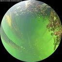 ./images/calvert/underwater/20260712/underwater20260712_152001M.jpg