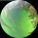./images/calvert/underwater/20260712/underwater20260712_152501M.jpg