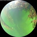 ./images/calvert/underwater/20260712/underwater20260712_153501M.jpg