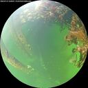 ./images/calvert/underwater/20260712/underwater20260712_160001M.jpg