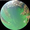 ./images/calvert/underwater/20260712/underwater20260712_173501M.jpg