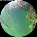 ./images/calvert/underwater/20260712/underwater20260712_192001M.jpg