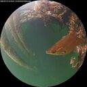 ./images/calvert/underwater/20260712/underwater20260712_214501M.jpg