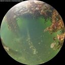 ./images/calvert/underwater/20260713/underwater20260713_061501M.jpg