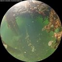 ./images/calvert/underwater/20260713/underwater20260713_062001M.jpg
