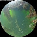./images/calvert/underwater/20260713/underwater20260713_064001M.jpg