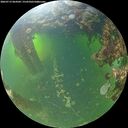 ./images/calvert/underwater/20260713/underwater20260713_064501M.jpg