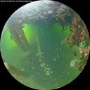 ./images/calvert/underwater/20260713/underwater20260713_065501M.jpg