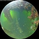 ./images/calvert/underwater/20260713/underwater20260713_070501M.jpg