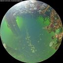 ./images/calvert/underwater/20260713/underwater20260713_071501M.jpg