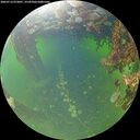 ./images/calvert/underwater/20260713/underwater20260713_072001M.jpg