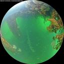 ./images/calvert/underwater/20260713/underwater20260713_093501M.jpg