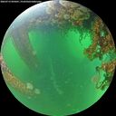./images/calvert/underwater/20260713/underwater20260713_095001M.jpg