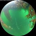 ./images/calvert/underwater/20260713/underwater20260713_100001M.jpg