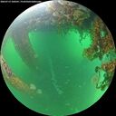 ./images/calvert/underwater/20260713/underwater20260713_100501M.jpg