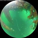./images/calvert/underwater/20260713/underwater20260713_102001M.jpg