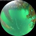 ./images/calvert/underwater/20260713/underwater20260713_102501M.jpg