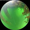 ./images/calvert/underwater/20260713/underwater20260713_110502M.jpg