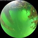 ./images/calvert/underwater/20260713/underwater20260713_111001M.jpg