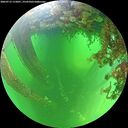 ./images/calvert/underwater/20260713/underwater20260713_112001M.jpg