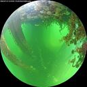 ./images/calvert/underwater/20260713/underwater20260713_112501M.jpg