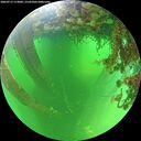 ./images/calvert/underwater/20260713/underwater20260713_113002M.jpg