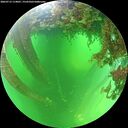 ./images/calvert/underwater/20260713/underwater20260713_114001M.jpg