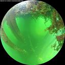 ./images/calvert/underwater/20260713/underwater20260713_114502M.jpg