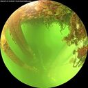./images/calvert/underwater/20260713/underwater20260713_124502M.jpg