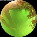 ./images/calvert/underwater/20260713/underwater20260713_130001M.jpg