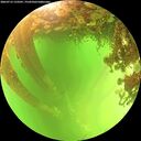 ./images/calvert/underwater/20260713/underwater20260713_133501M.jpg
