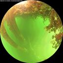 ./images/calvert/underwater/20260713/underwater20260713_134501M.jpg