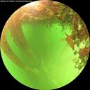 ./images/calvert/underwater/20260713/underwater20260713_135001M.jpg