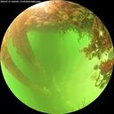 ./images/calvert/underwater/20260713/underwater20260713_135501M.jpg