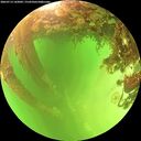 ./images/calvert/underwater/20260713/underwater20260713_142001M.jpg
